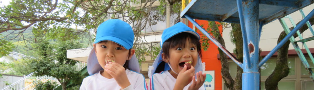 南陽幼稚園｜周南市福川